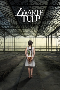 watch-Black Tulip