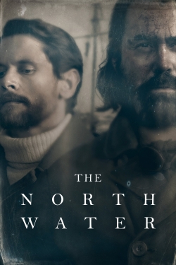 watch-The North Water