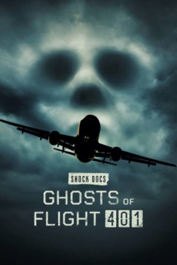 watch-Ghosts of Flight 401