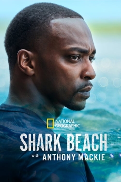 watch-Shark Beach with Anthony Mackie
