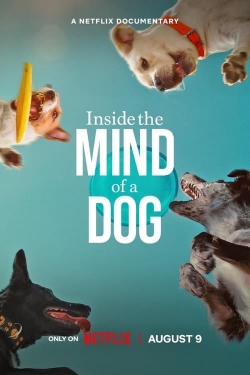 watch-Inside the Mind of a Dog