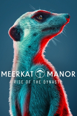 watch-Meerkat Manor: Rise of the Dynasty